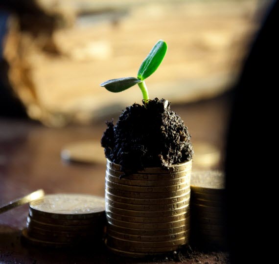 Formacion Patrimonio